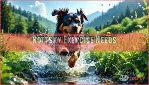 rottsky exercise needs