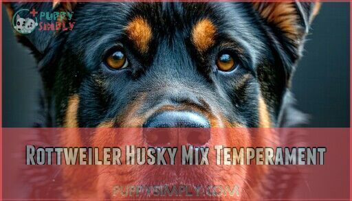 Rottweiler Husky Mix: Complete Guide, Pictures & Care Tips