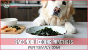 safe nori feeding practices