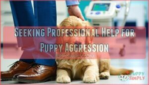 seeking professional help for puppy aggression