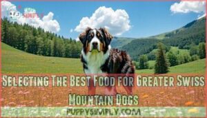 selecting the best food for greater swiss mountain dogs