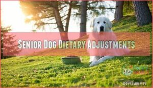 senior dog dietary adjustments
