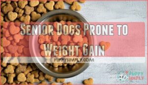 senior dogs prone to weight gain