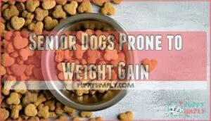 senior dogs prone to weight gain senior dogs prone to weight gain