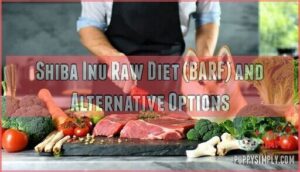 shiba inu raw diet (barf) and alternative options