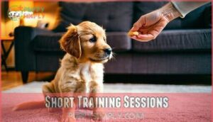 short training sessions