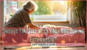 should you stay with your dog during euthanasia