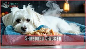 shredded chicken