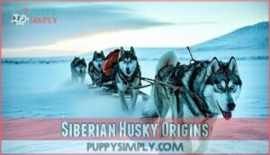 siberian husky origins