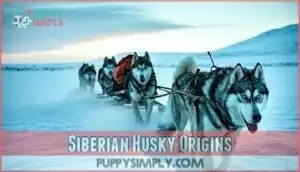 siberian husky origins