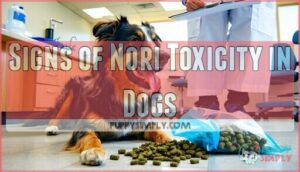 signs of nori toxicity in dogs