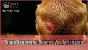 signs requiring urgent vet attention signs requiring urgent vet attention