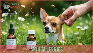 skin allergies