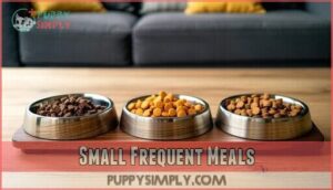 small frequent meals