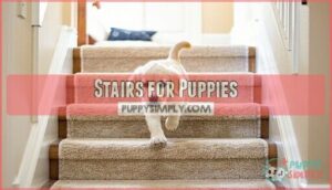 stairs for puppies