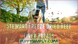 stewart freeze dried beef liver treats