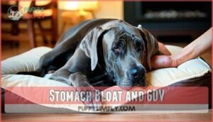 stomach bloat and gdv