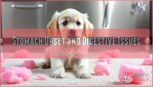 stomach upset and digestive issues