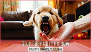 stop puppy biting now