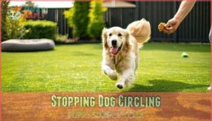 stopping dog circling