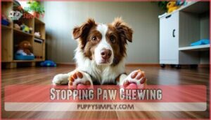 stopping paw chewing