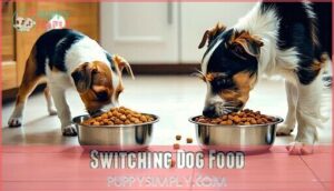 switching dog food