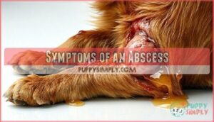 symptoms of an abscess