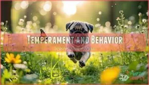 temperament and behavior