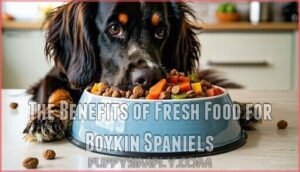 the benefits of fresh food for boykin spaniels