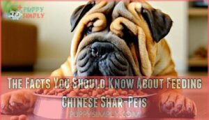 the facts you should know about feeding chinese shar-peis