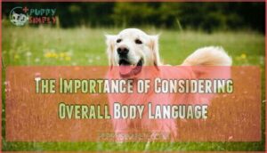 the importance of considering overall body language