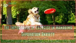 the importance of exercise in managing separation anxiety