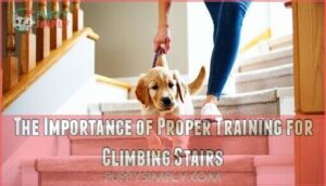 the importance of proper training for climbing stairs