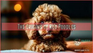 the origins of red poodles