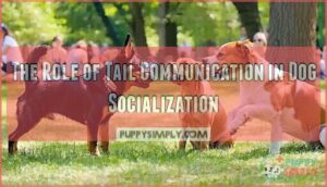 the role of tail communication in dog socialization