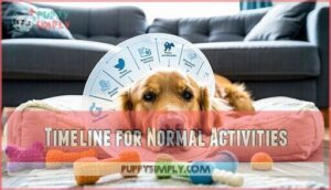 timeline for normal activities