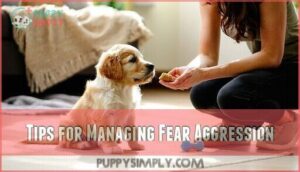 tips for managing fear aggression