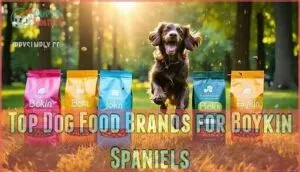 top dog food brands for boykin spaniels