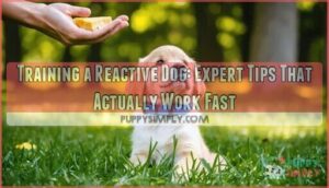 training a reactive dog