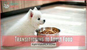 transitioning to adult food