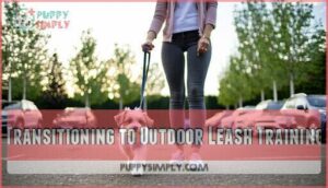 transitioning to outdoor leash training