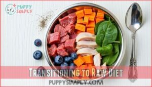 transitioning to raw diet