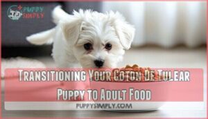 transitioning your coton de tulear puppy to adult food