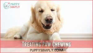 treating paw chewing