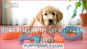 using alternative chew toys and objects