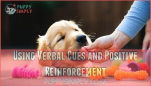 using verbal cues and positive reinforcement