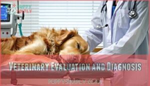 veterinary evaluation and diagnosis