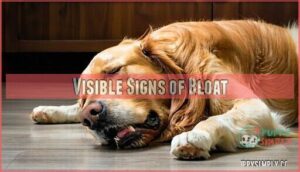 visible signs of bloat