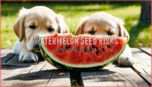 watermelon seed risks