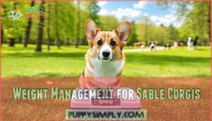 weight management for sable corgis